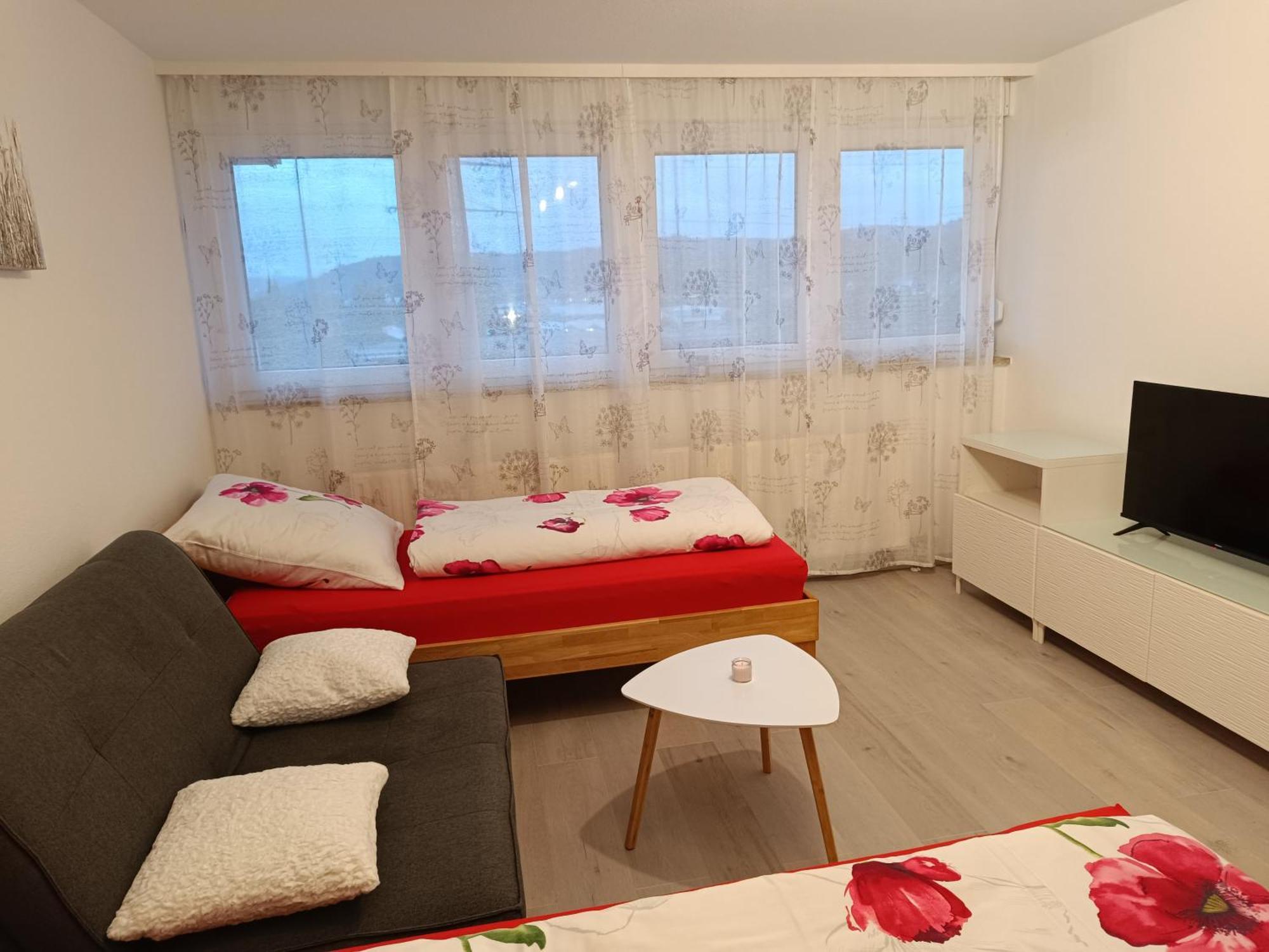Apartment Lahr Lahr/Schwarzwald Extérieur photo